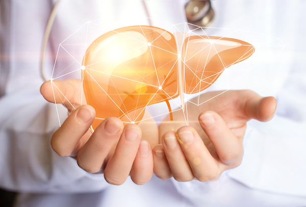 Doctor holding a digital hologram of a human liver, symbolizing advanced liver-focused medical technology.