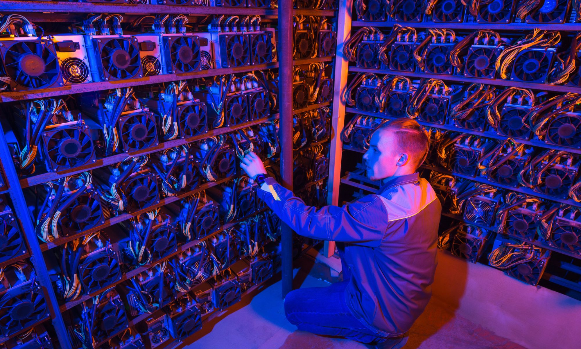 Riot Platforms Reduces Stake in Bitfarms to 12.3% Following Market Sale -  PRISM MarketView