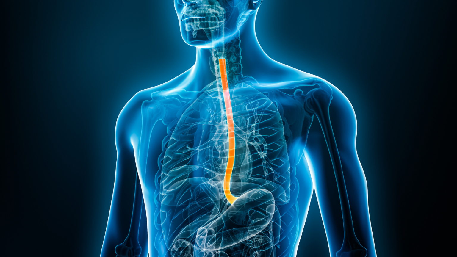 Celldex Slips After EoE Trial Miss, Focus Shifts Back to Urticaria and ...