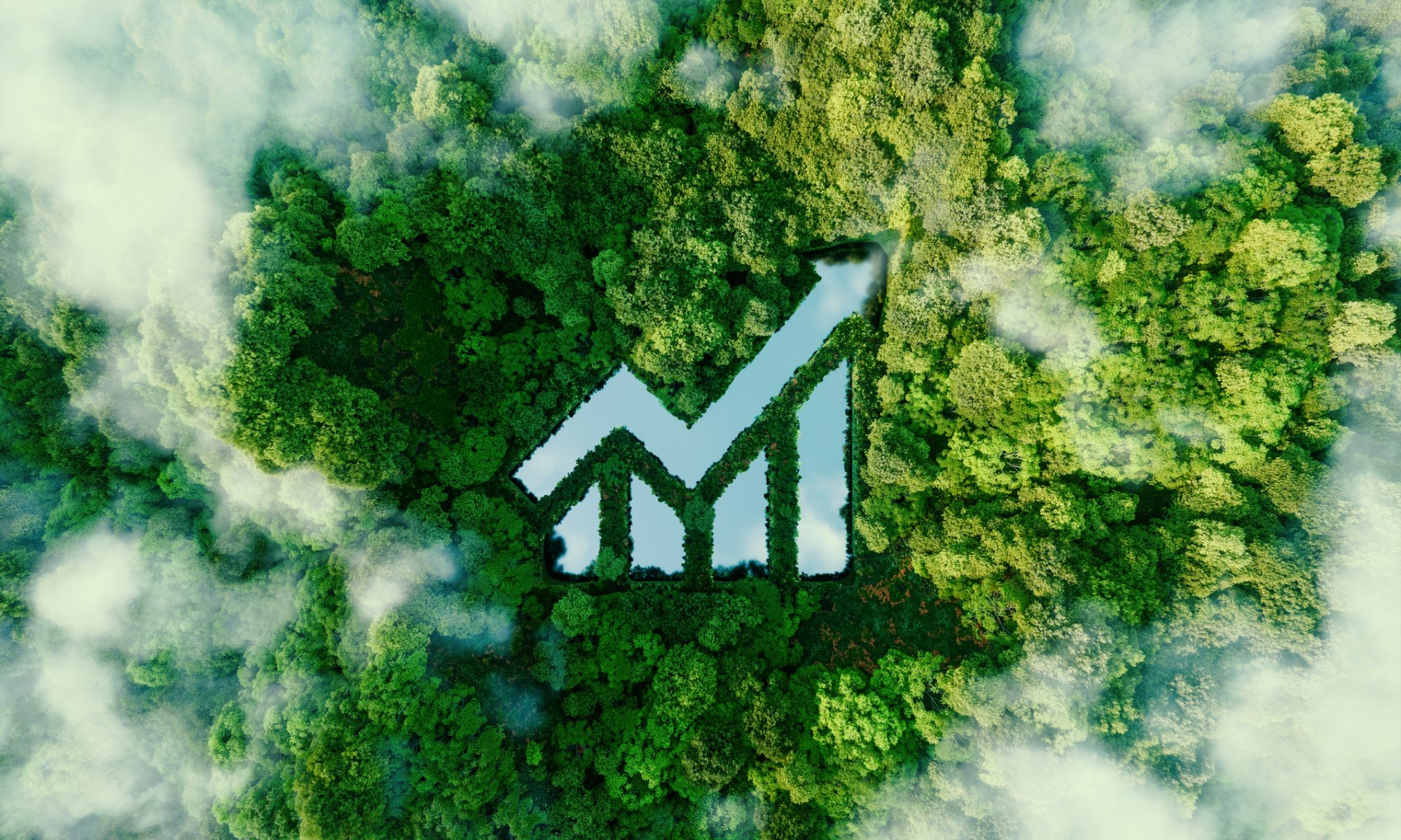 Aerial view of a dense green forest with misty clouds, featuring a clear-cut shape in the trees forming an upward-pointing growth chart symbol filled with reflective water.