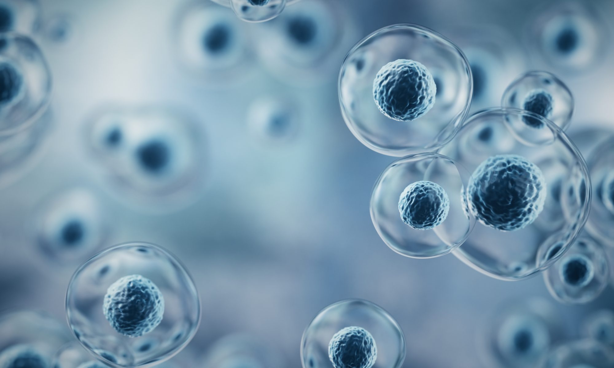 EUDA Launches Nationwide Stem Cell Extraction, Cryostorage & Clinical ...