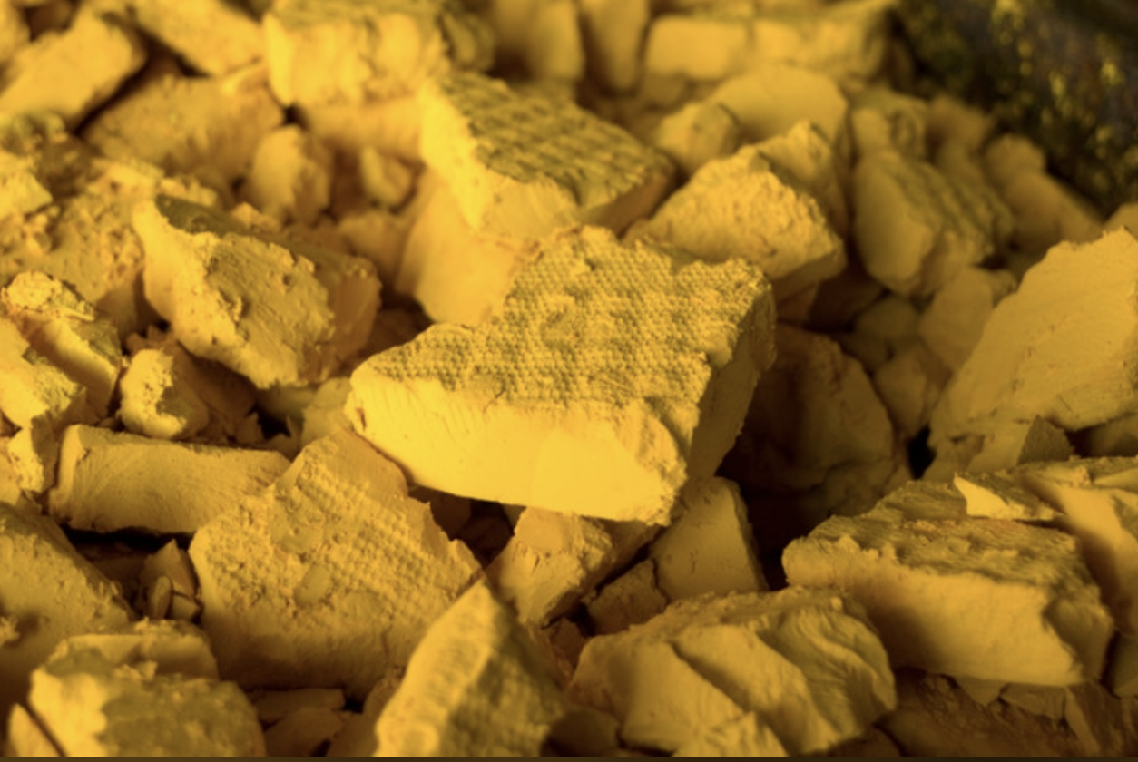 At AAIC 2026, Acumen Pharmaceuticals (NASDAQ: ABOS) revealed new Enhanced Brain Delivery data, with ACU401 showing up to 40-fold higher brain exposure in primates.