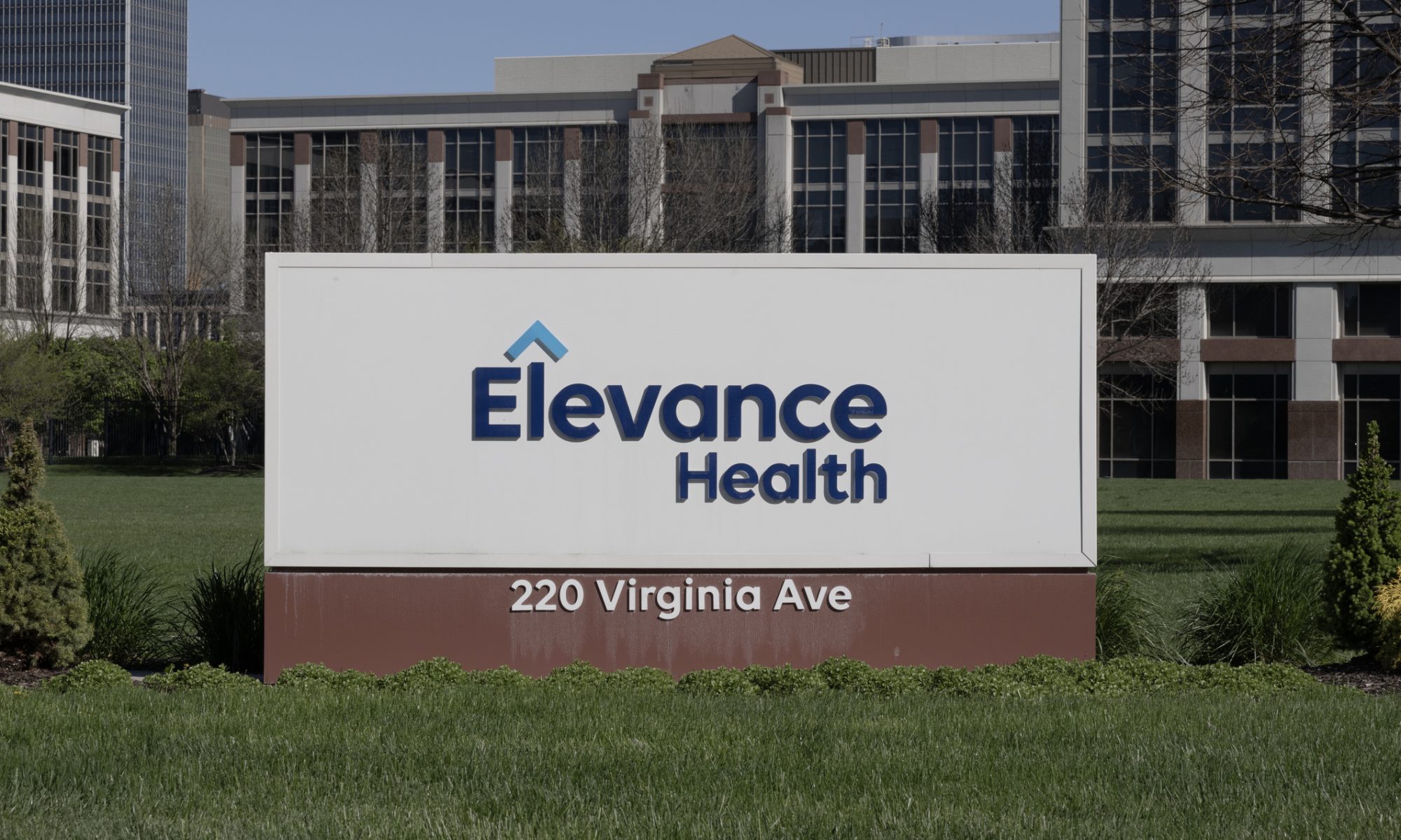 Elevance stock fell 9% as membership losses and rising medical costs overshadowed a Q2 earnings beat and a raised 2026 outlook. Here's what spooked investors.