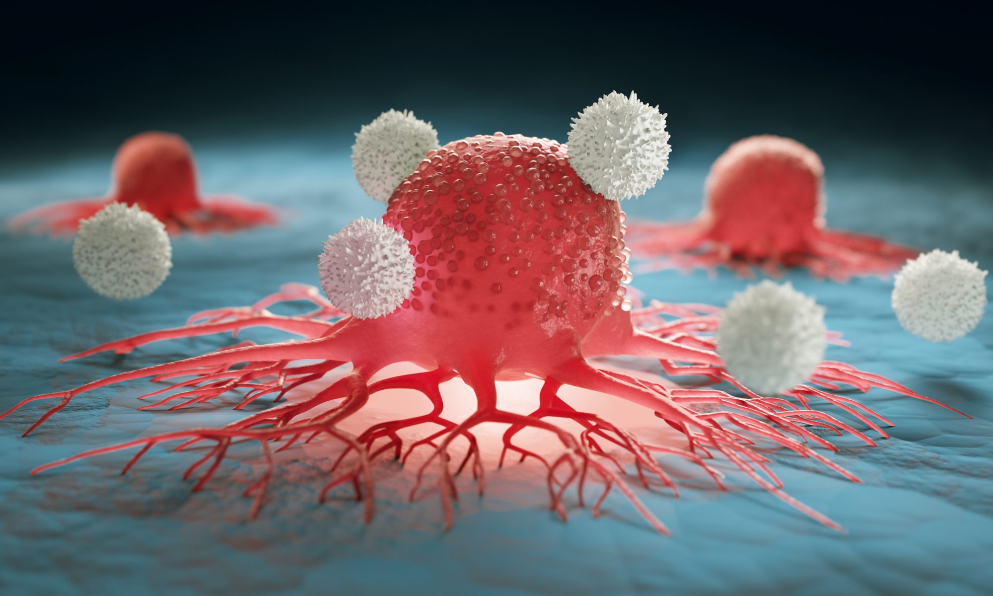 Illustration of immune cells attacking cancer cells, representing immunotherapy for cutaneous T-cell lymphoma (CTCL) and cancer treatment.