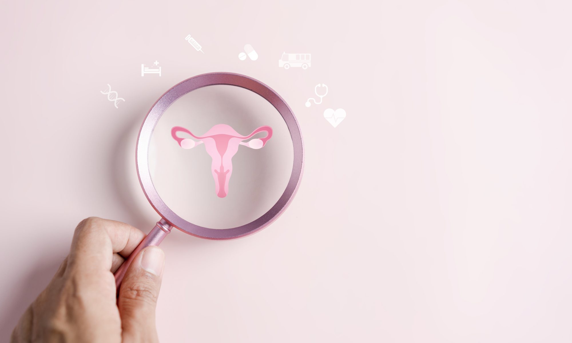 Magnifying glass highlighting an illustration of the female reproductive system, representing Femasys’ fertility and women’s health programs, including FemaSeed and FemBloc.