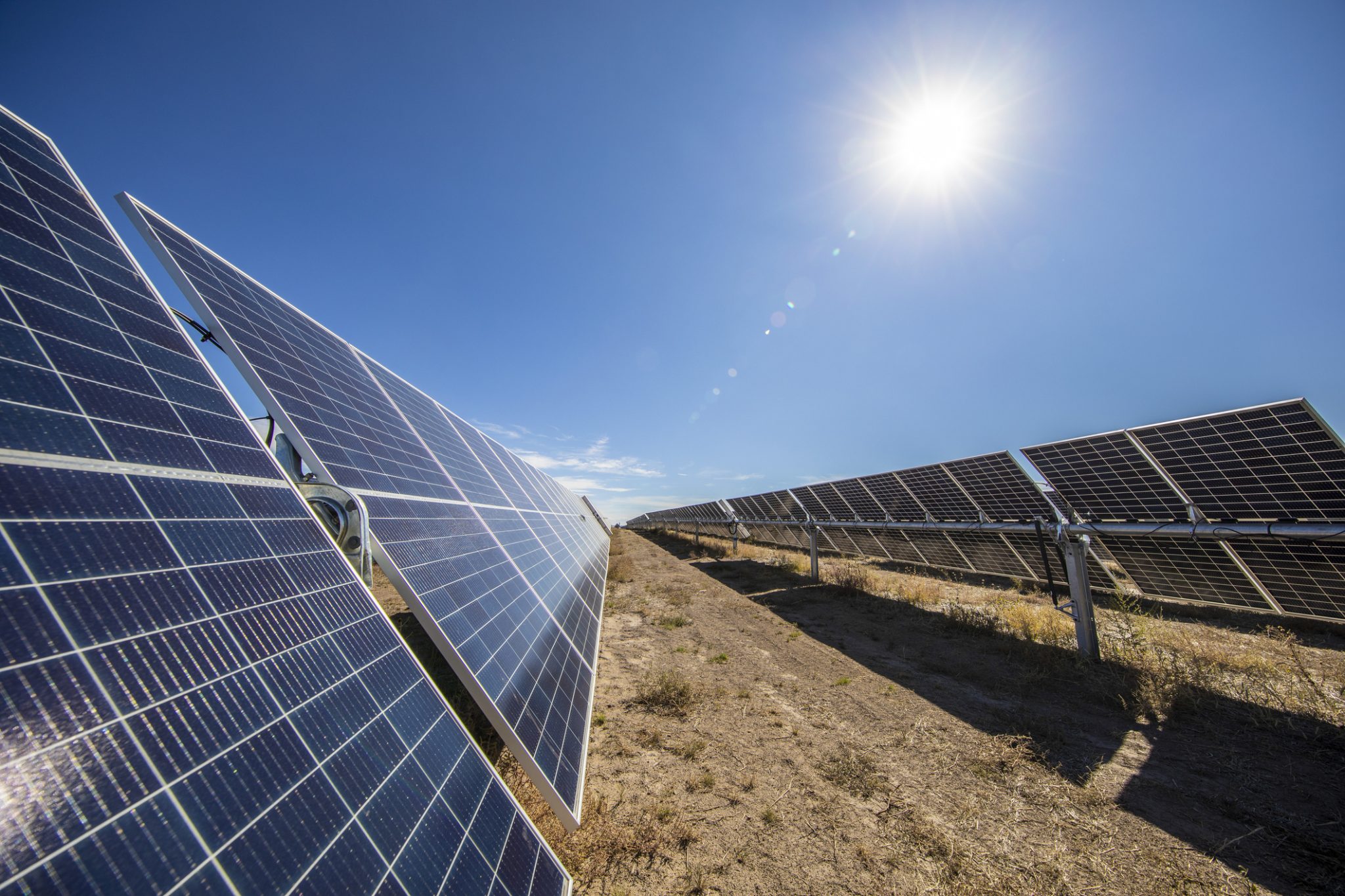 Large-scale solar panels operating under bright sunlight, representing Recurrent Energy’s 330 MW Cobalt Solar project in California.