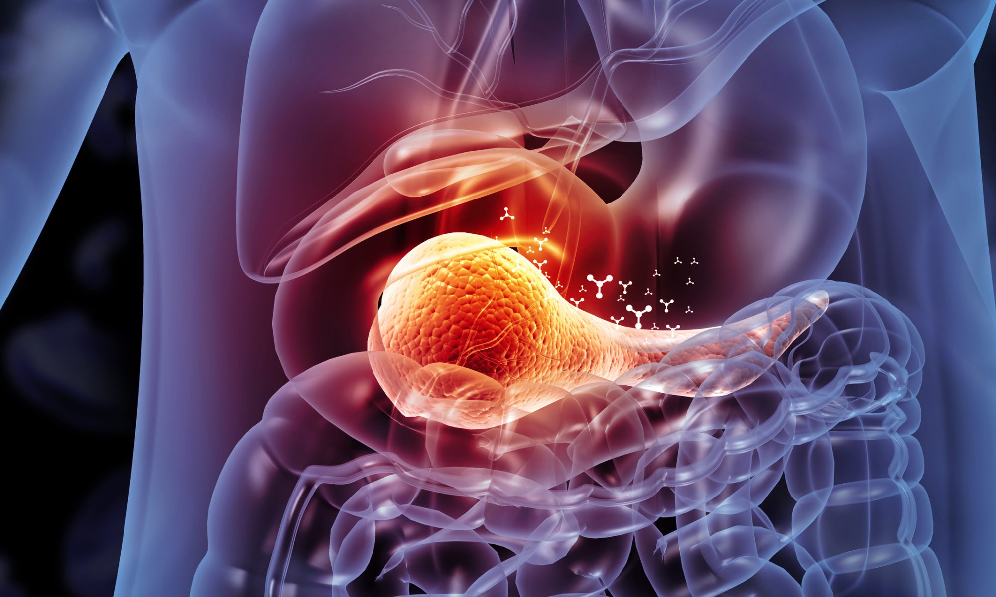 Medical illustration highlighting the pancreas within the human body, representing advances in treatment for metastatic pancreatic cancer.